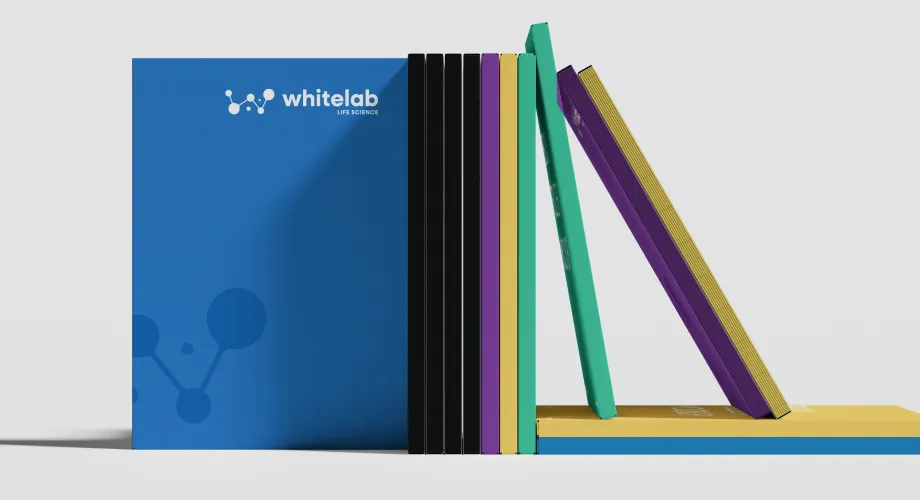 WhiteLab progetto 3